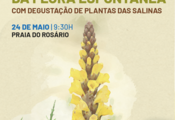 caminhada_floraespontanea_post