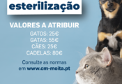 proposta_campanha_estrelizacao2