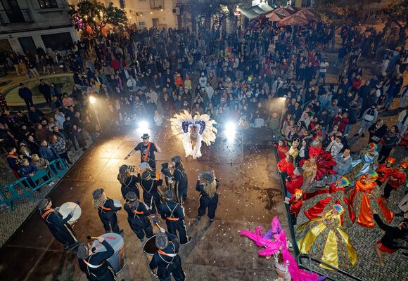 1202_carnavalnoturnodamoita