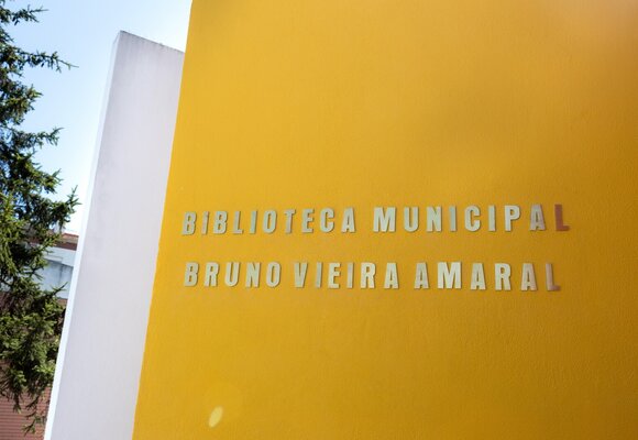biblioteca_bruno_vieira_amaral1
