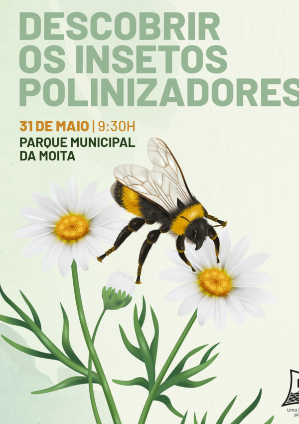 insetospolinizadores_post