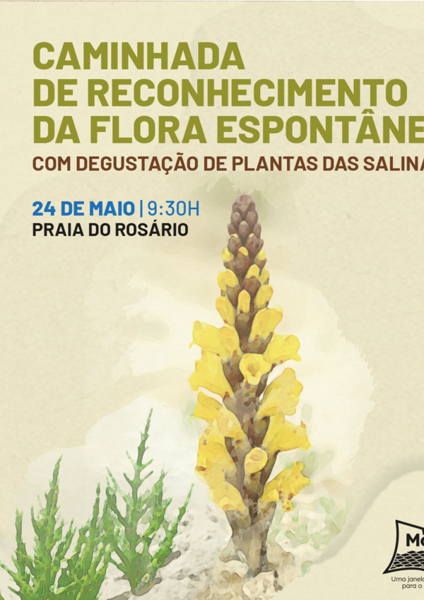 caminhada_floraespontanea_post