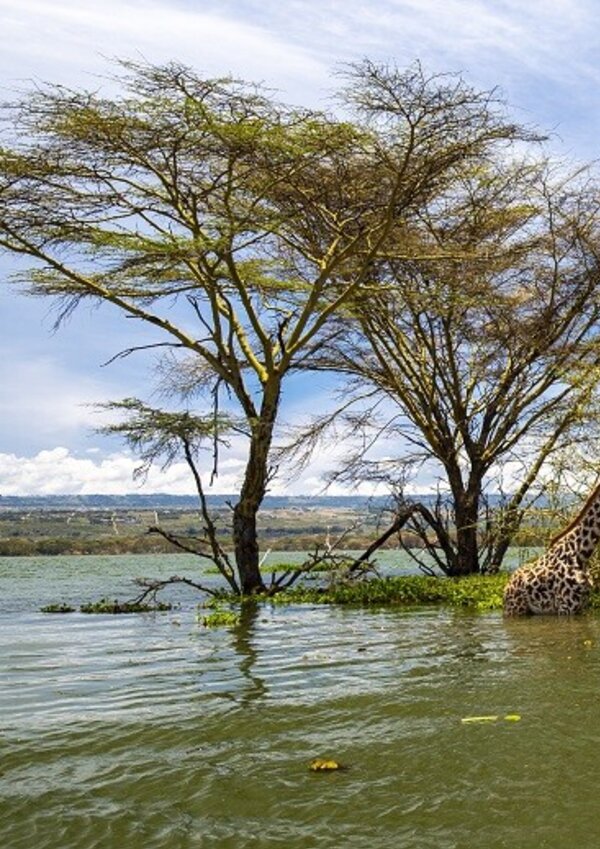 imagem_exposicao_de_fotografia_viagens_pelo_mundo_4