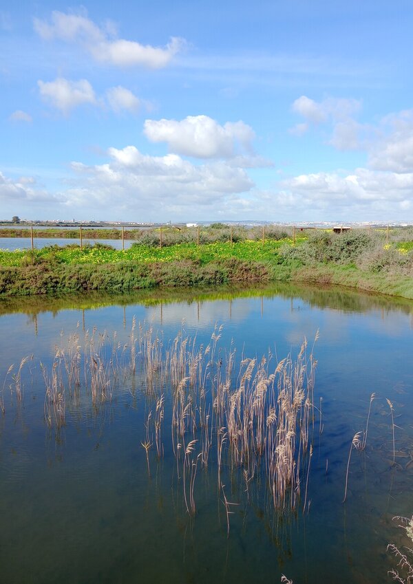 paisagem_salina