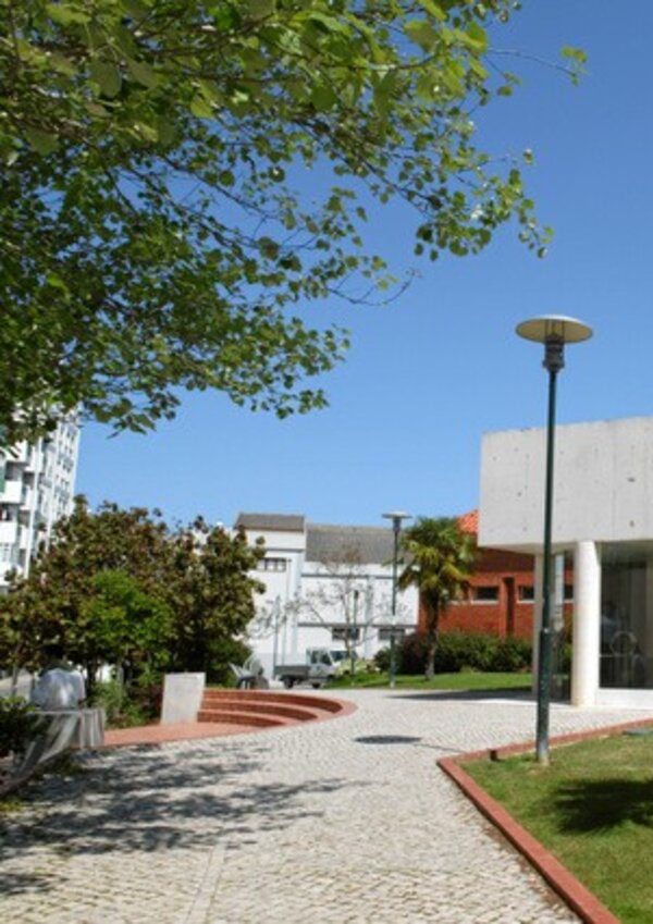 biblioteca_bento_de_jesus_caraca