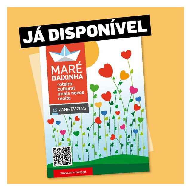 Maré Baixinha #15 | janeiro e fevereiro 2025