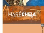 Mare cheia janeiro 1 155 116