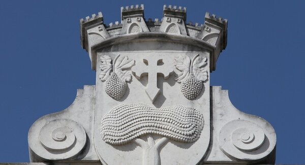 brasao__1_1024_2500_1_1024_2500_1_1024_2500_1_2500_2500