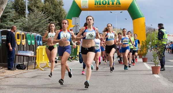 milha_ribeirinha_da_baixa_da_banheira