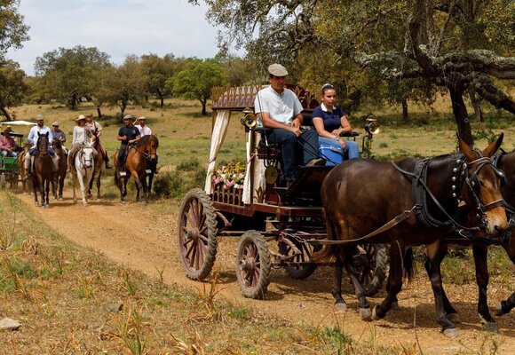 4f4a6023_1_2500_2500_1_2500_2500