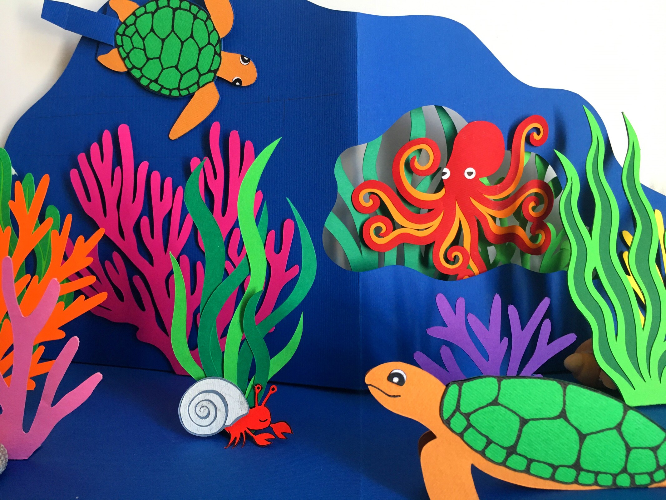 Ninho de Leitura: A Viagem da Tartaruga com Andreia Gomes