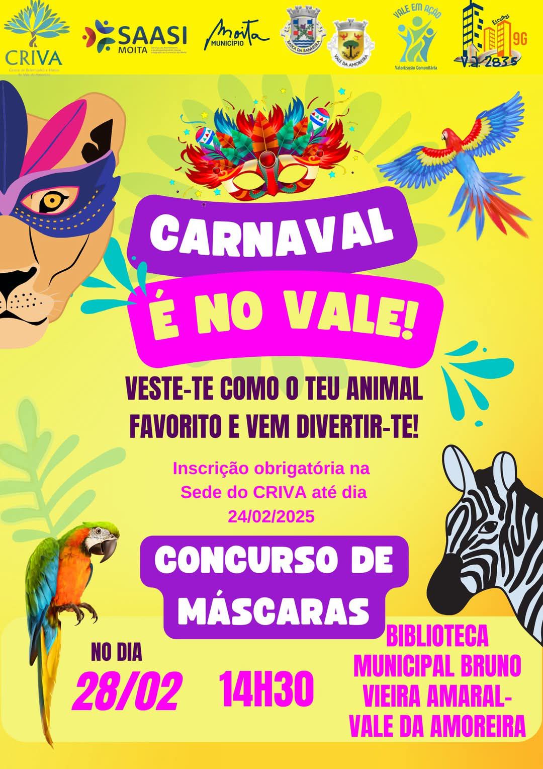 Carnaval é no Vale
