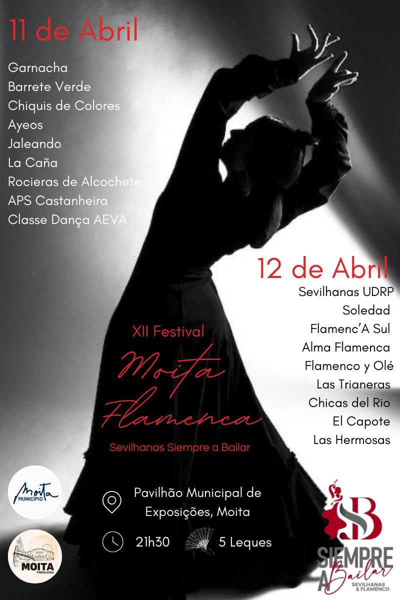 XII Festival MOITAFLAMENCA