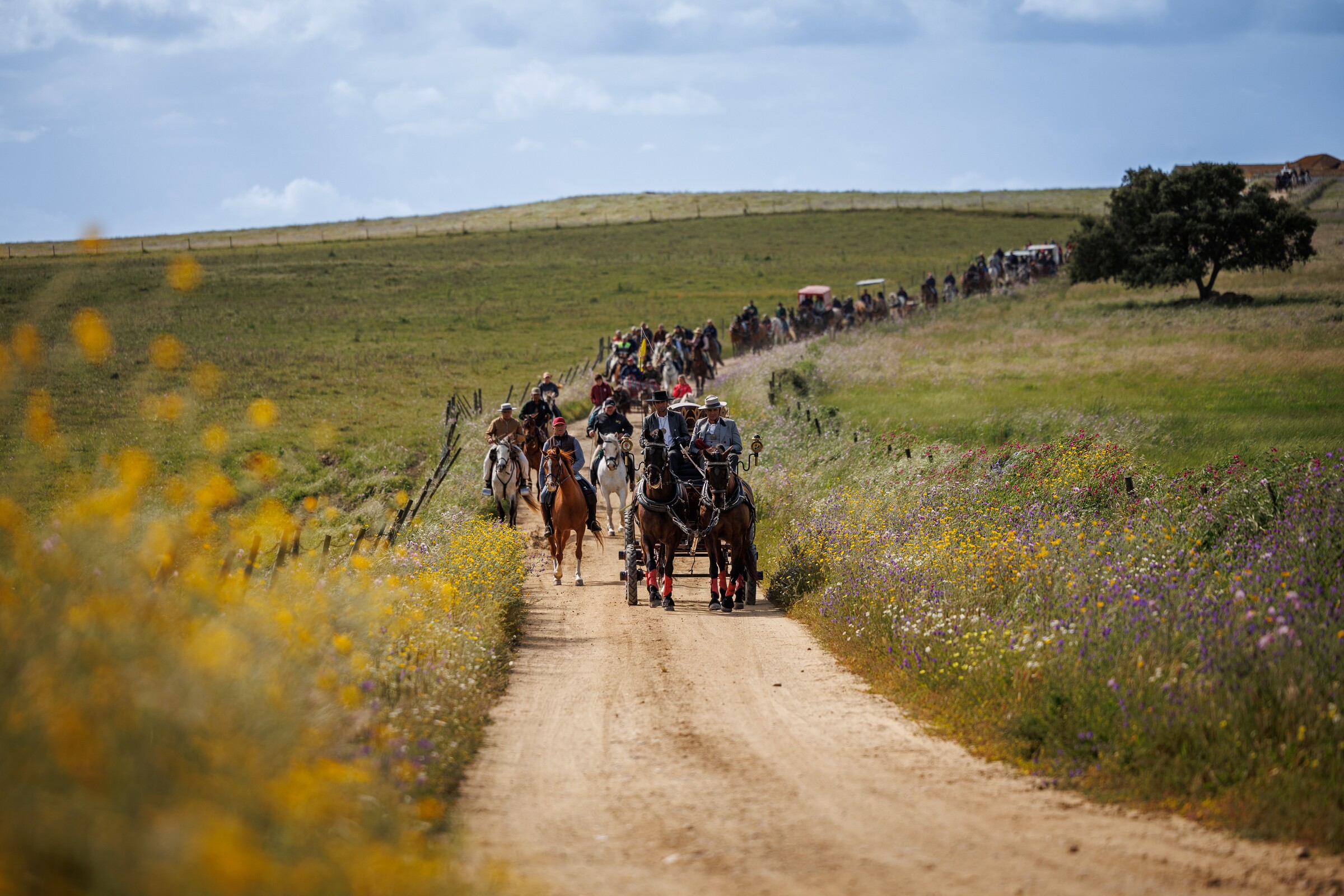 Inscrições para a Romaria a Cavalo Moita-Viana do Alentejo