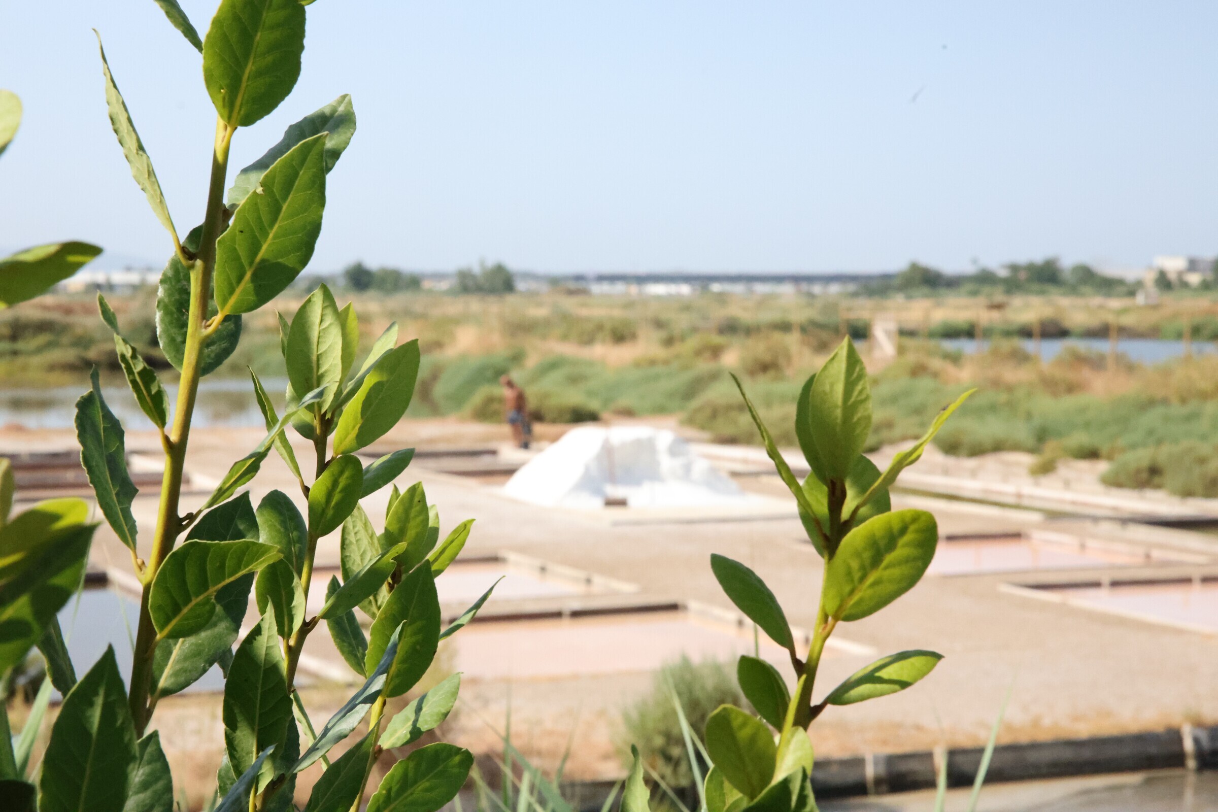 Manhãs Abertas no Sítio das Marinhas