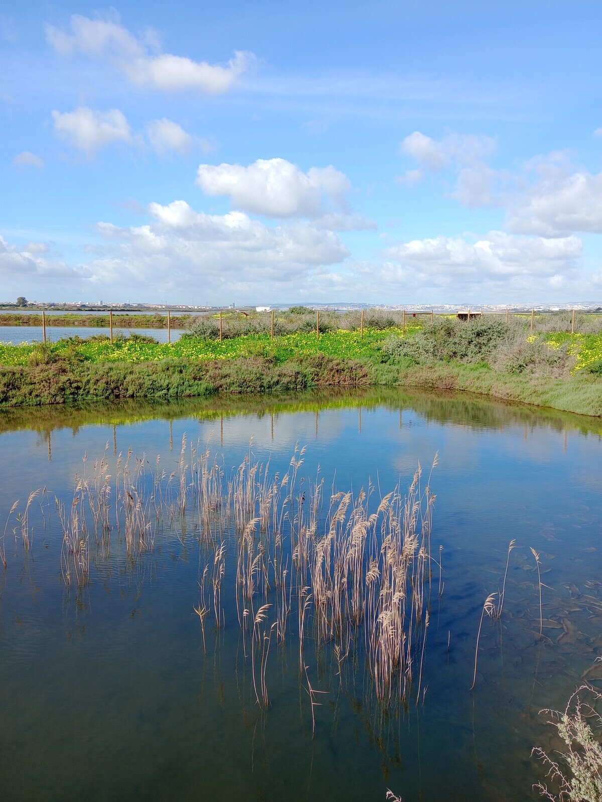 Manhãs Abertas no Sítio das Marinhas