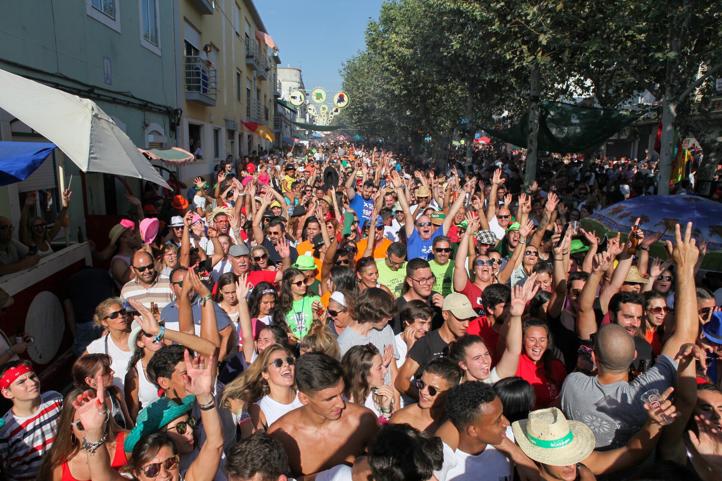 Tarde do Fogareiro EcoEvento Amarsul