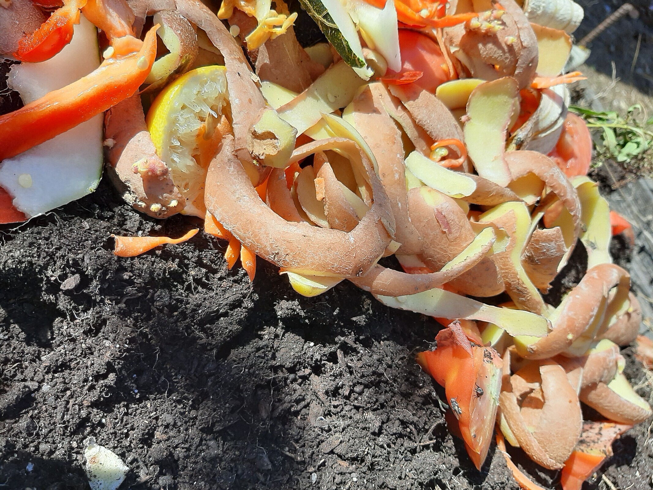 Workshop: A Compostagem começa no outono