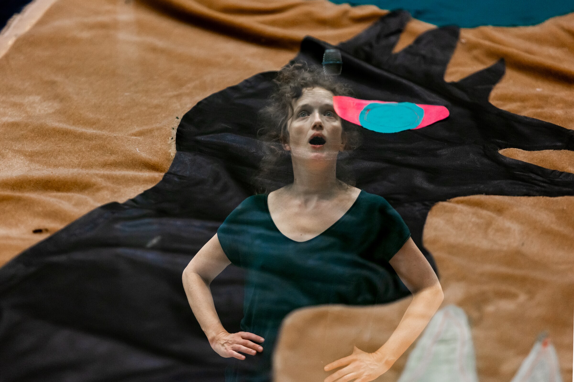 Micorrizas, Coprodução Artemrede