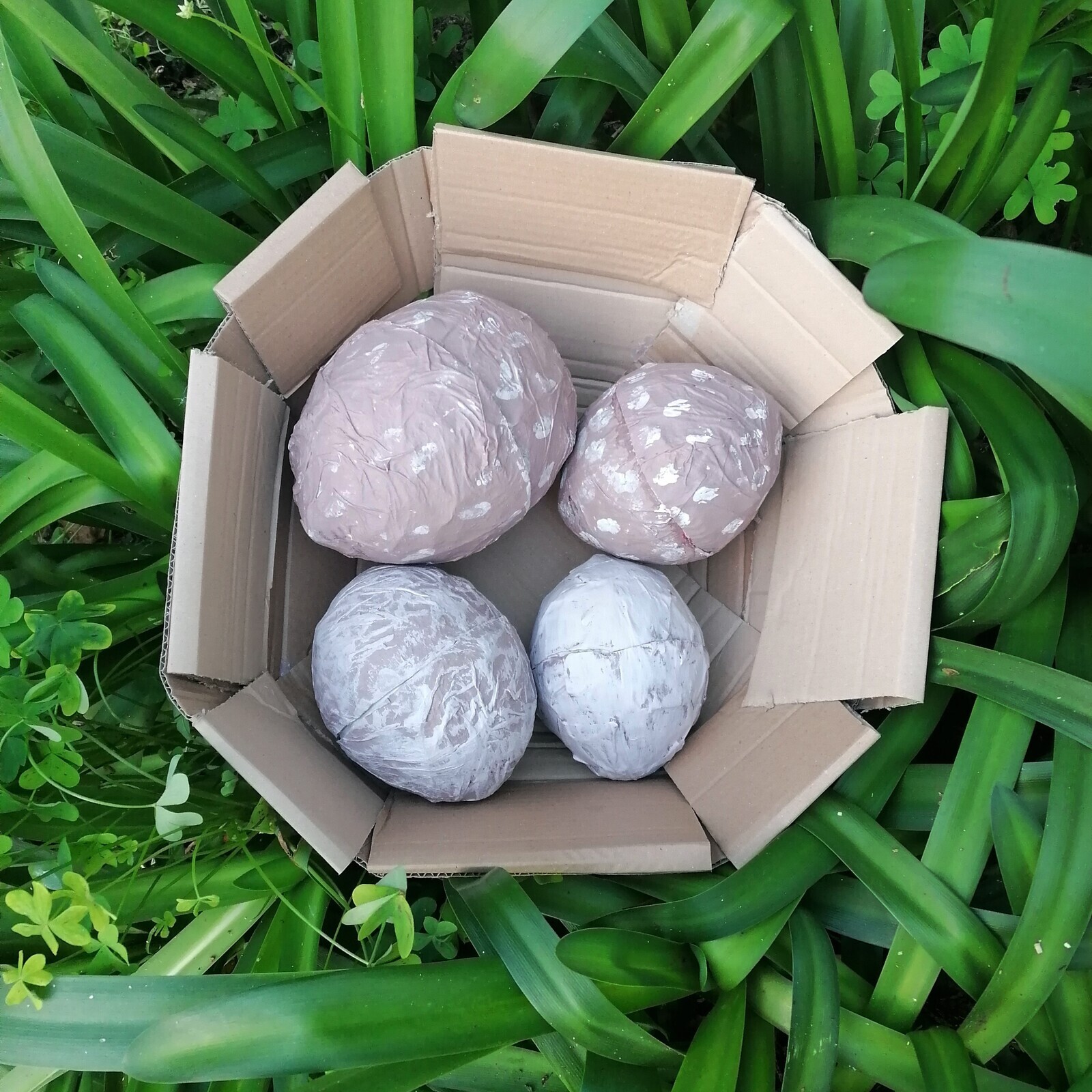 Ninho de Leitura: Ovos, pelo Projeto Papão de Contos