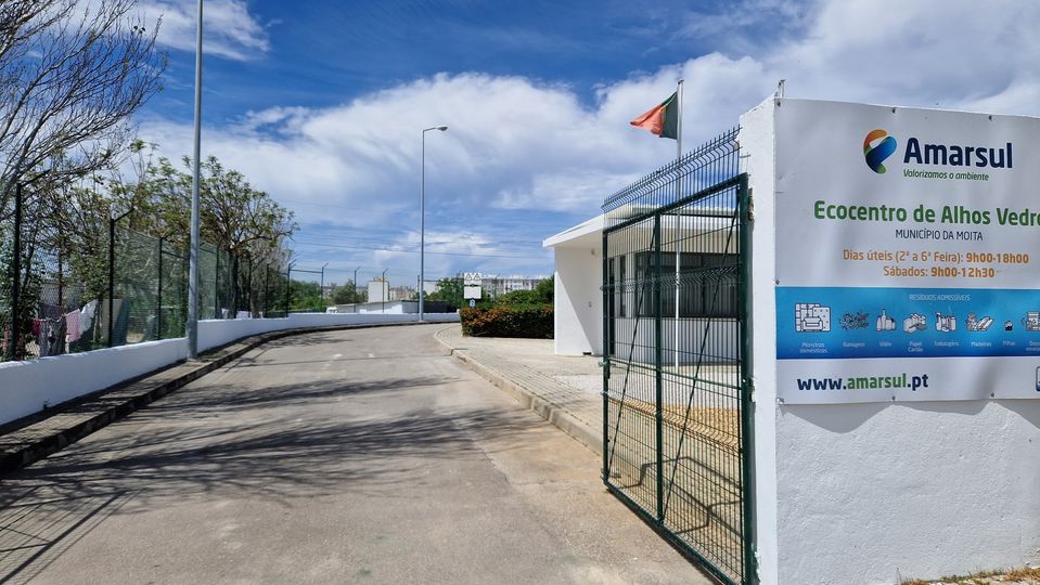 Monos e resíduos verdes?