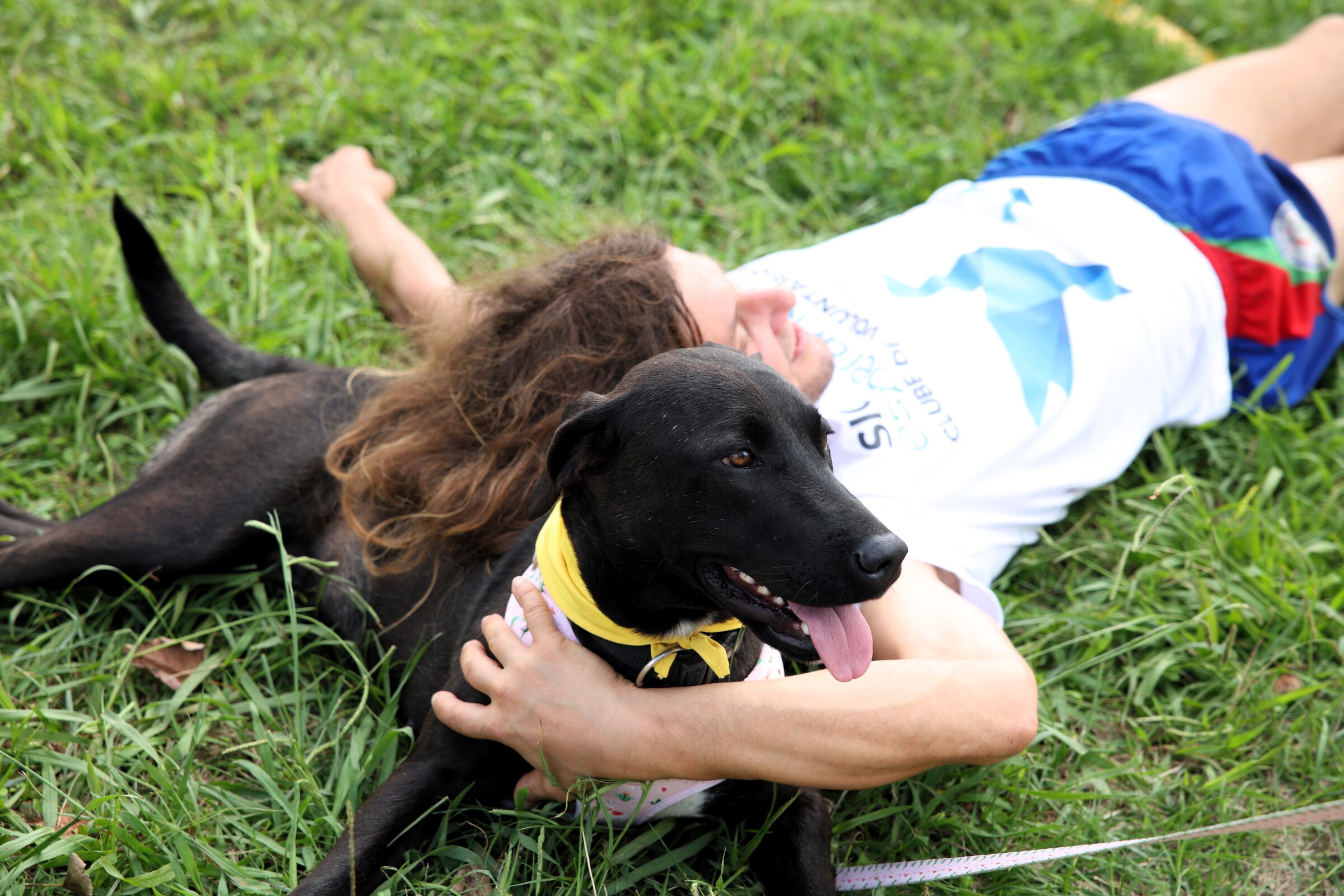 Município dedica semana aos patudos