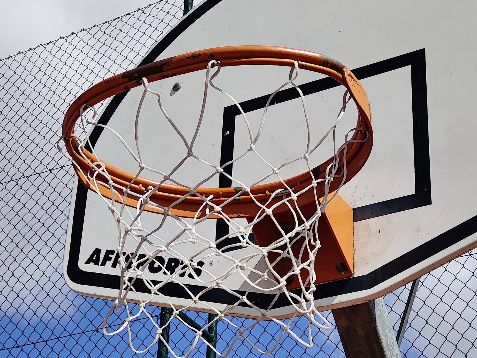 Do atletismo ao basquetebol, conheça as atividades desportivas do próximo fim de semana