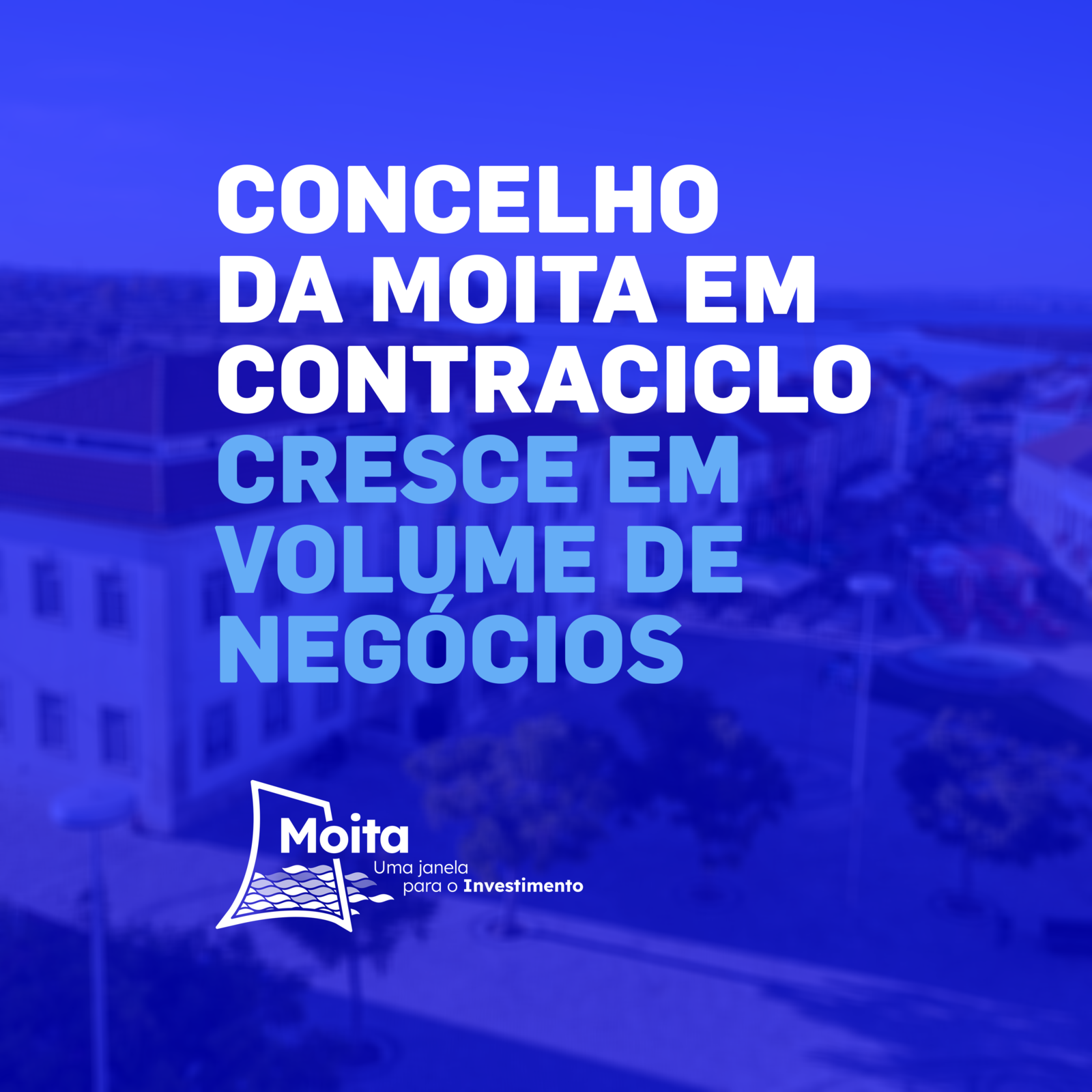 Moita cresceu em termos de volume de negócios