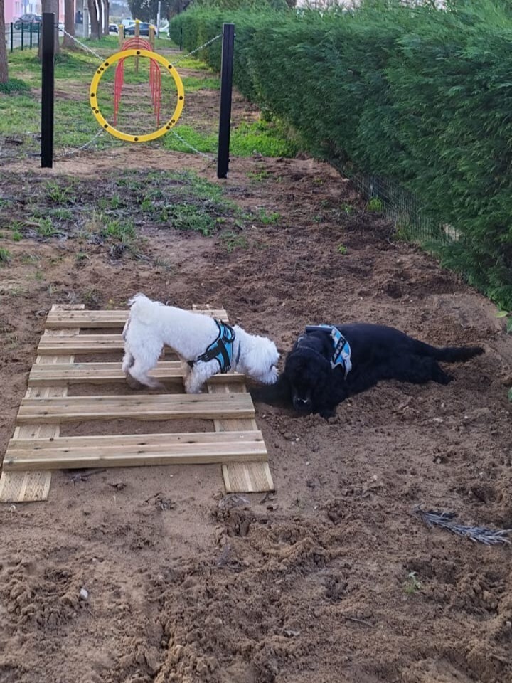 Há um novo parque canino no concelho da Moita