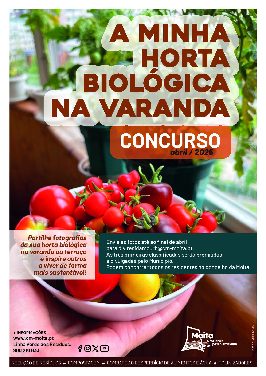 Concurso “A Minha Horta Biológica na Varanda”