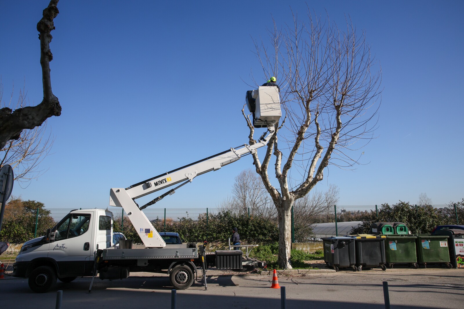 Podas continuam pelo concelho