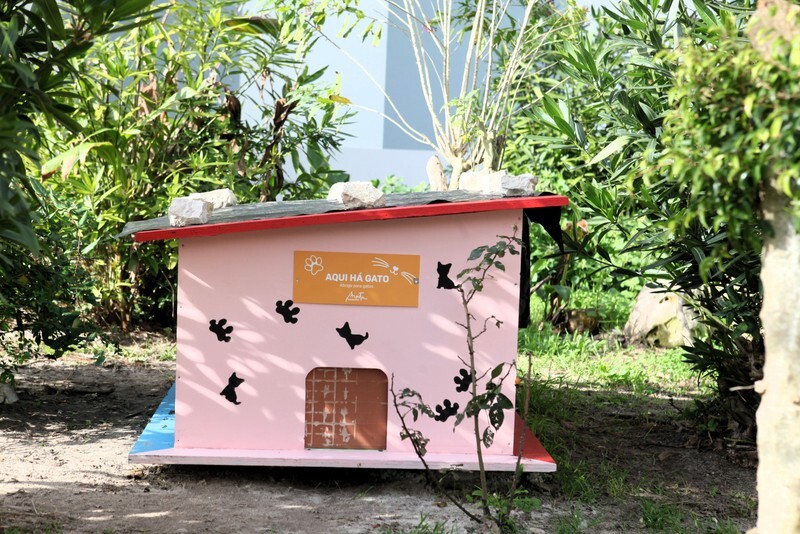 Câmara Municipal cria Regulamento do Cuidador Informal das Colónias de Gatos