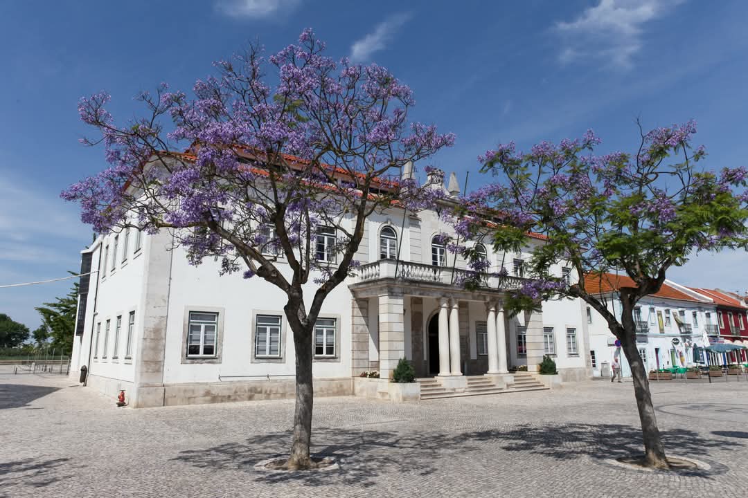Aviso de abertura do Concurso para atribuição de habitações em regime de arrendamento apoiado do ...