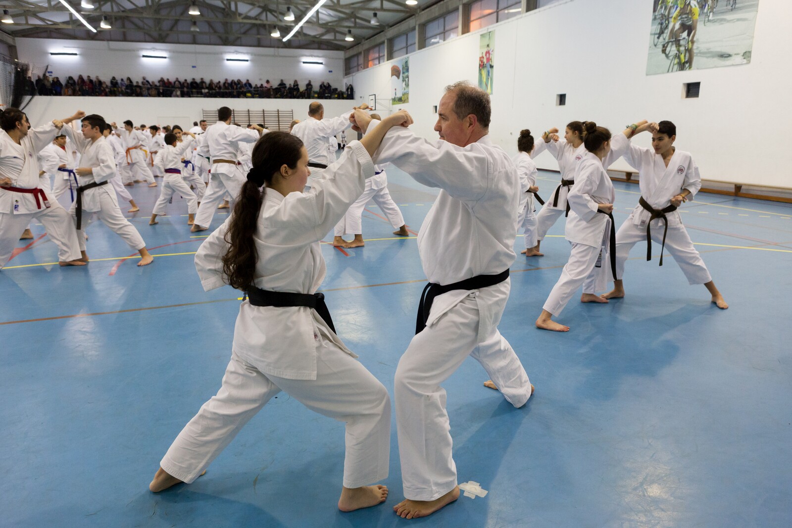 74º Estágio Técnico de Karaté da AKDS no Pavilhão Municipal de Exposições