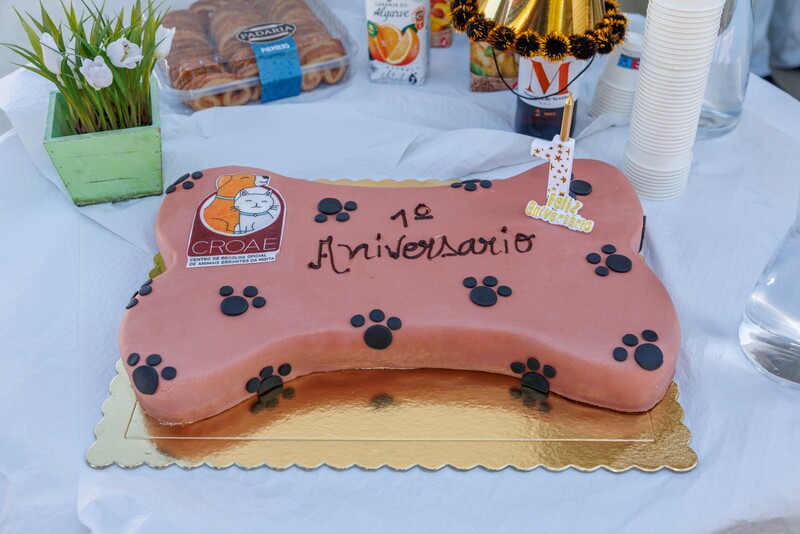 CROAE assinala primeiro aniversário
