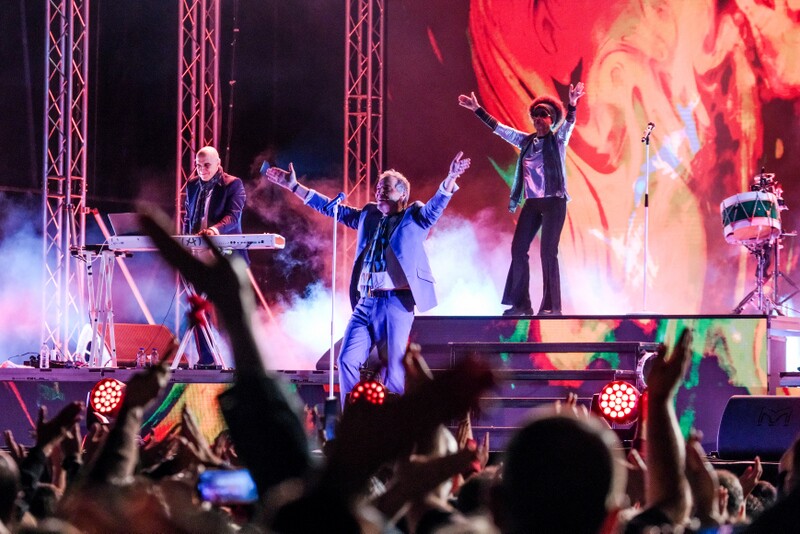 Delfins animaram noite de 24 de abril