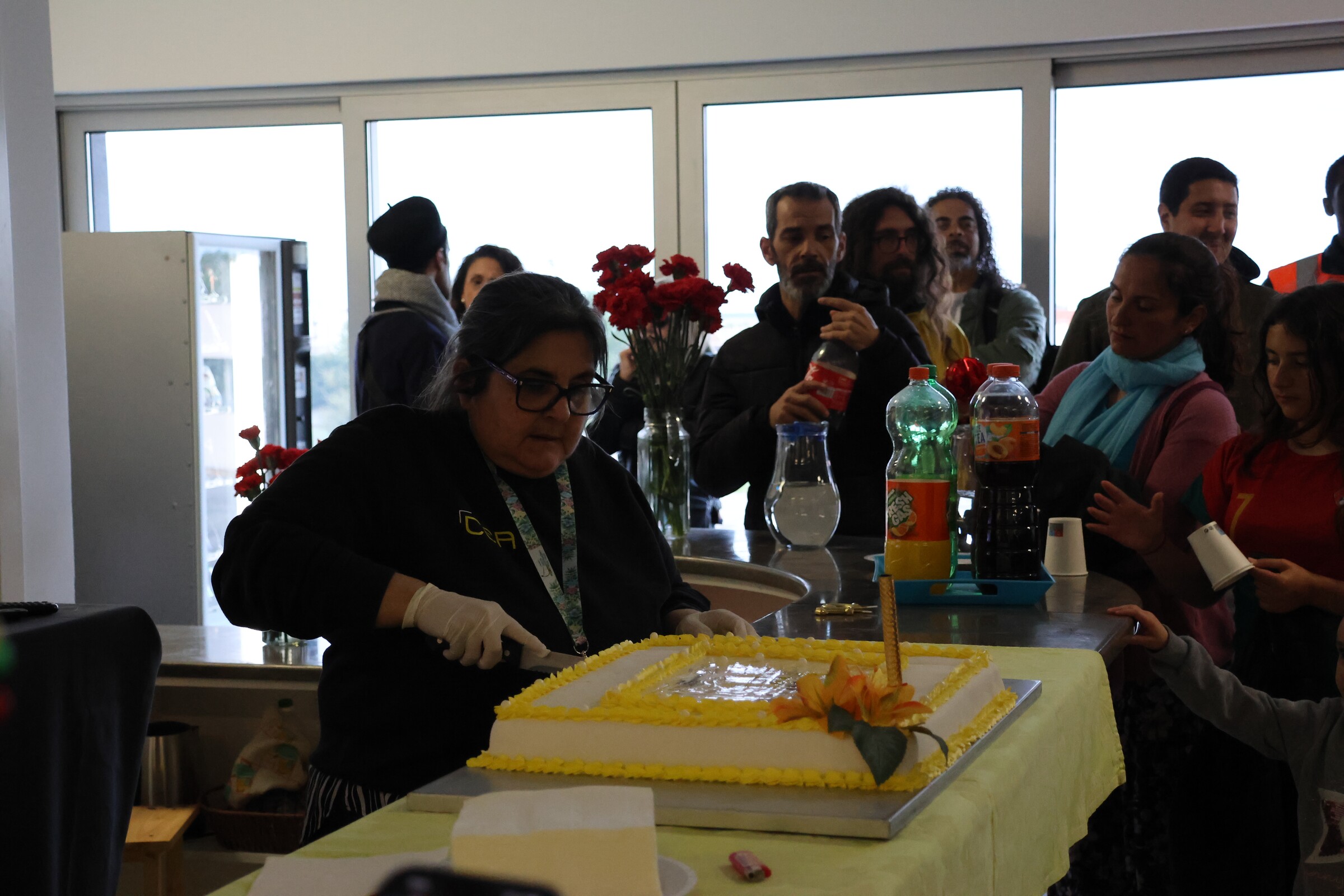 CEA assinala 12 anos