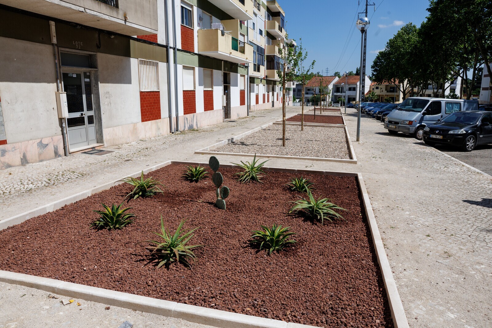 Canteiros das Fontaínhas requalificados