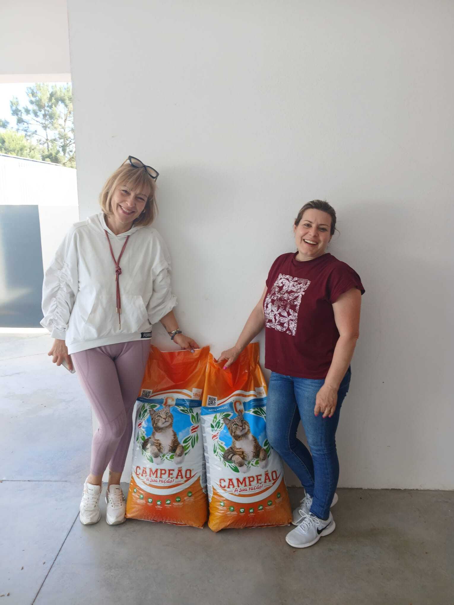 Cuidadoras de colónias de gatos recebem ajuda