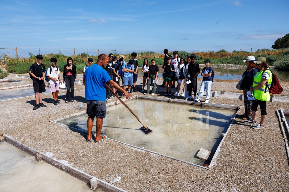 Município assinala Dia Mundial do Ambiente com atividades para crianças e jovens