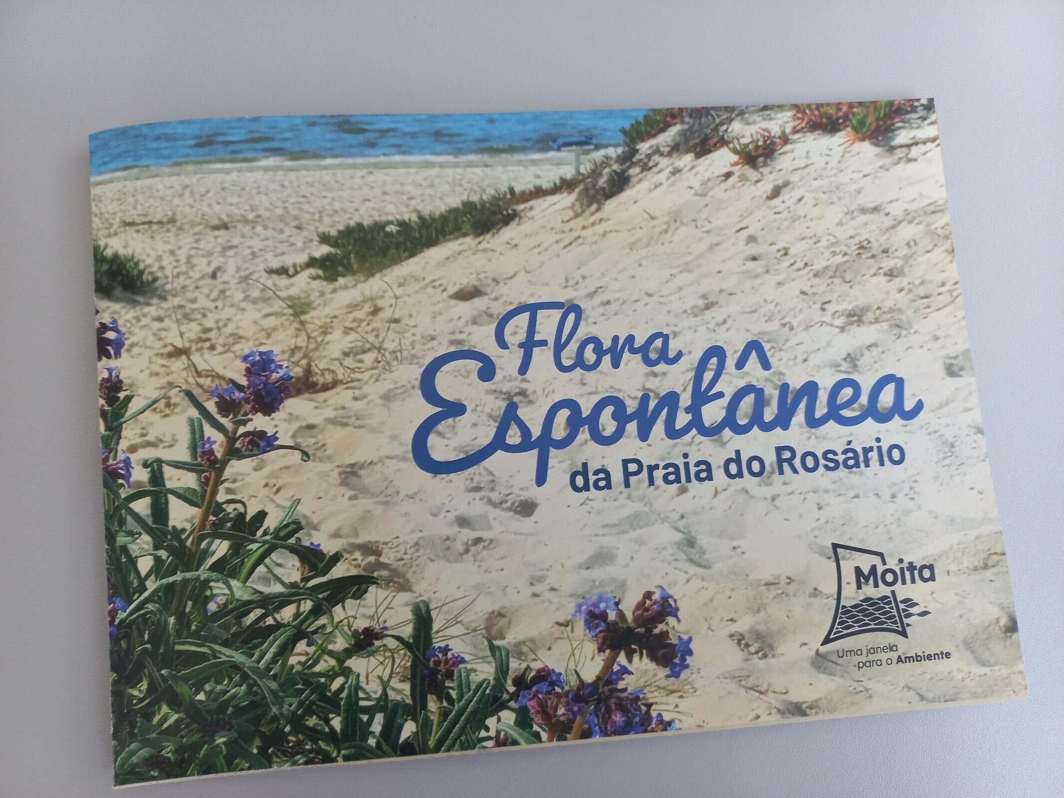 Nova edição sobre flora espontânea da Praia do Rosário