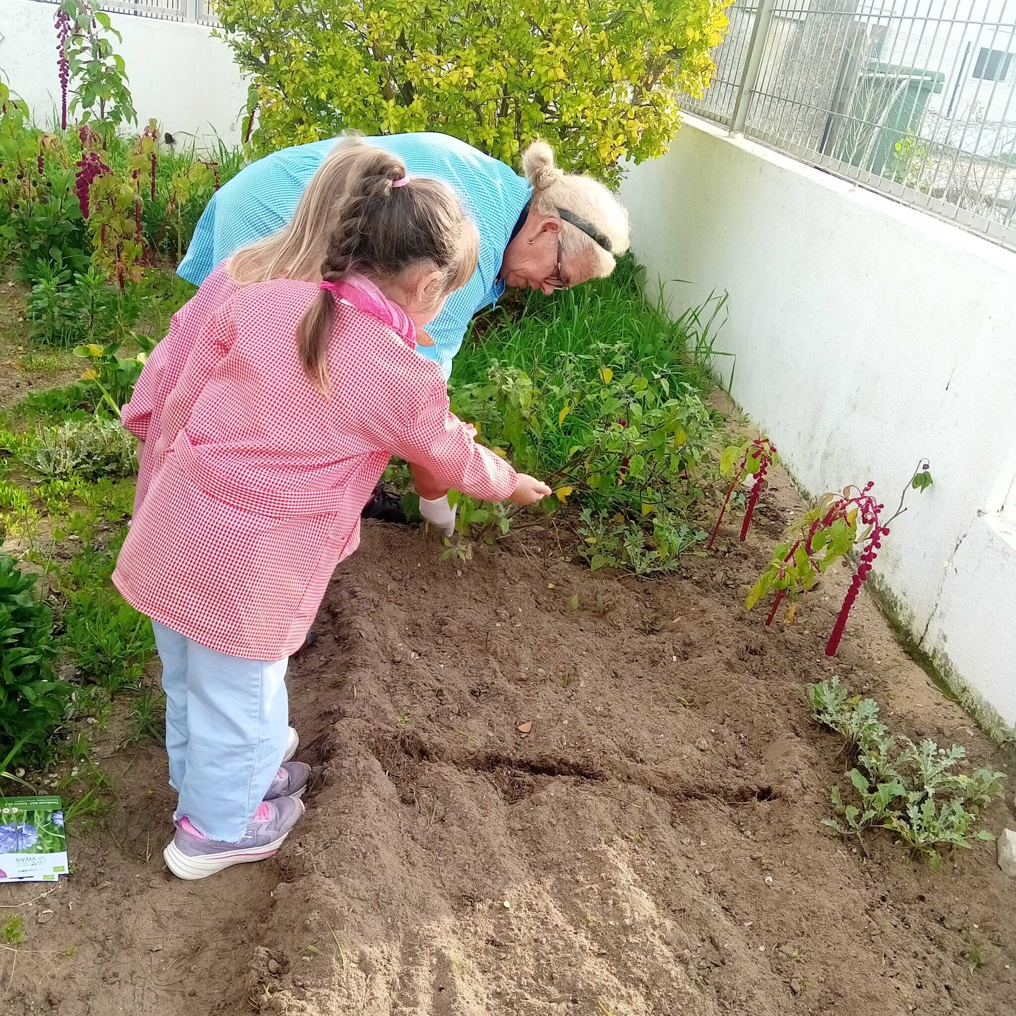 Agricultura Biológica e Compostagem na Escola 2024-2025 chega ao fim