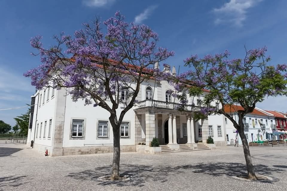 Atenção! Já se encontra disponível a listagem para o processo atribuição de habitação de 24 de fe...