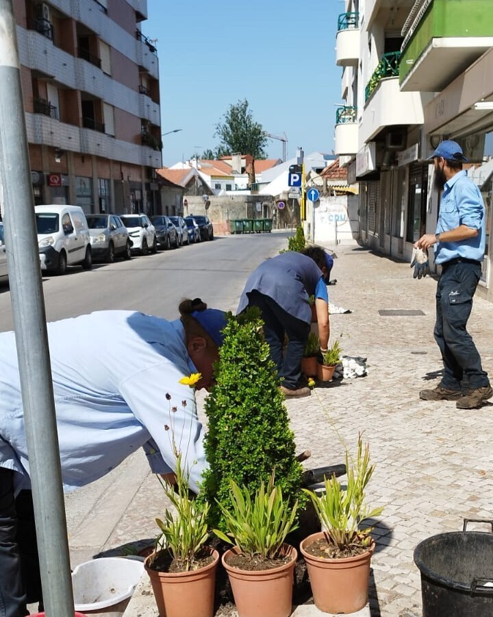 Autarquia substitui plantas devido a ato de vandalismo