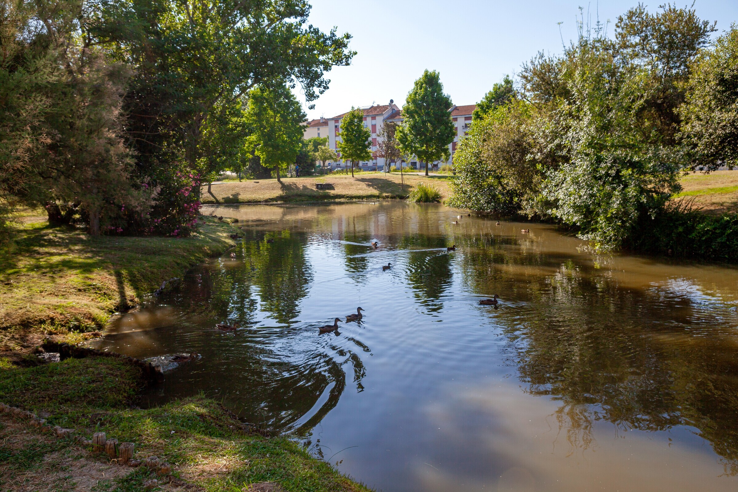 Vida ao ar livre! Maré Cheia #227