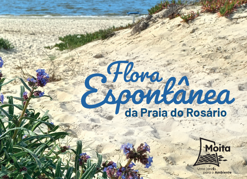 flora praia rosario