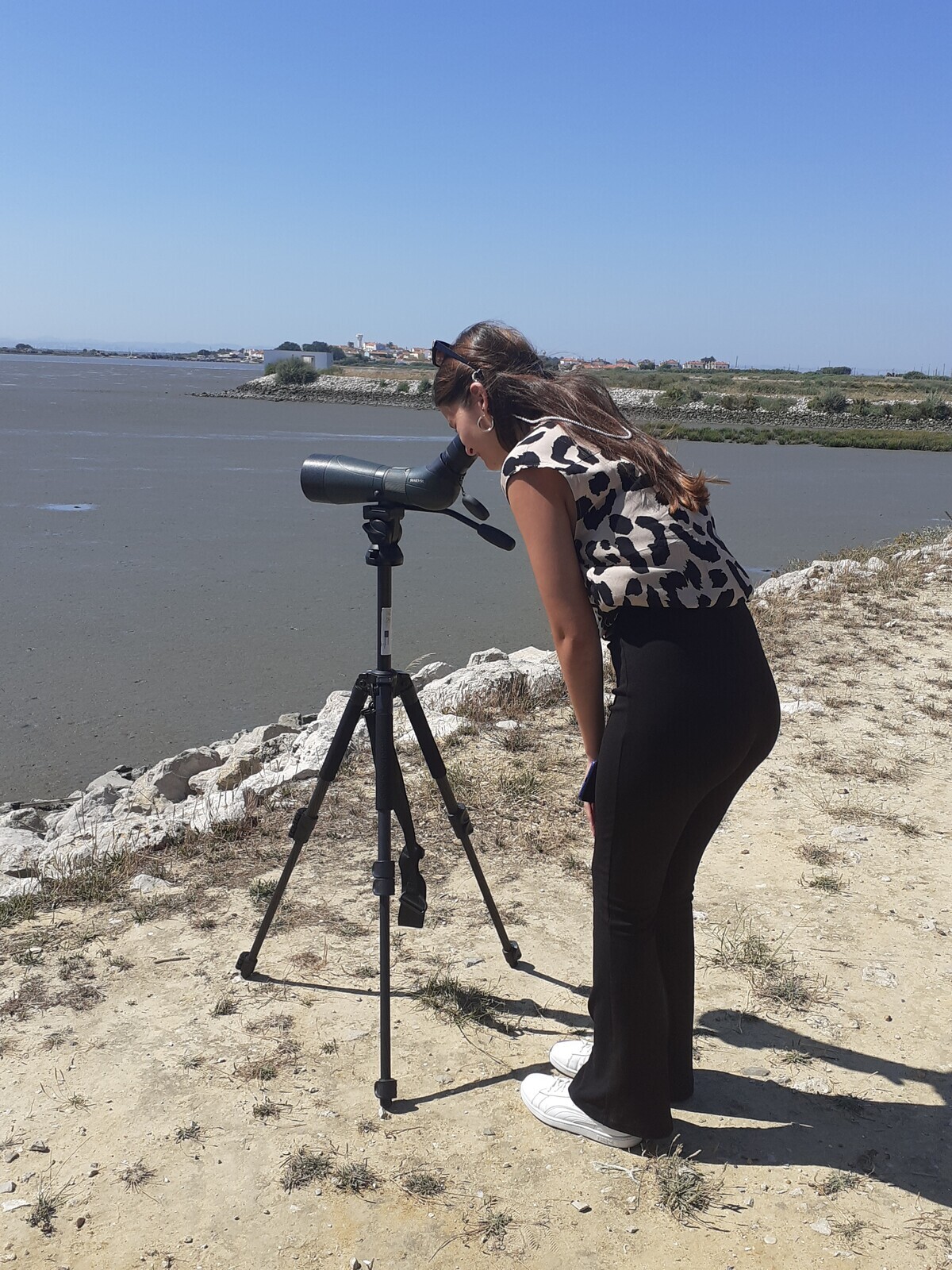 34-QRC3-Observa&ccedil;&atilde;o de aves com telesc&oacute;pio terrestre