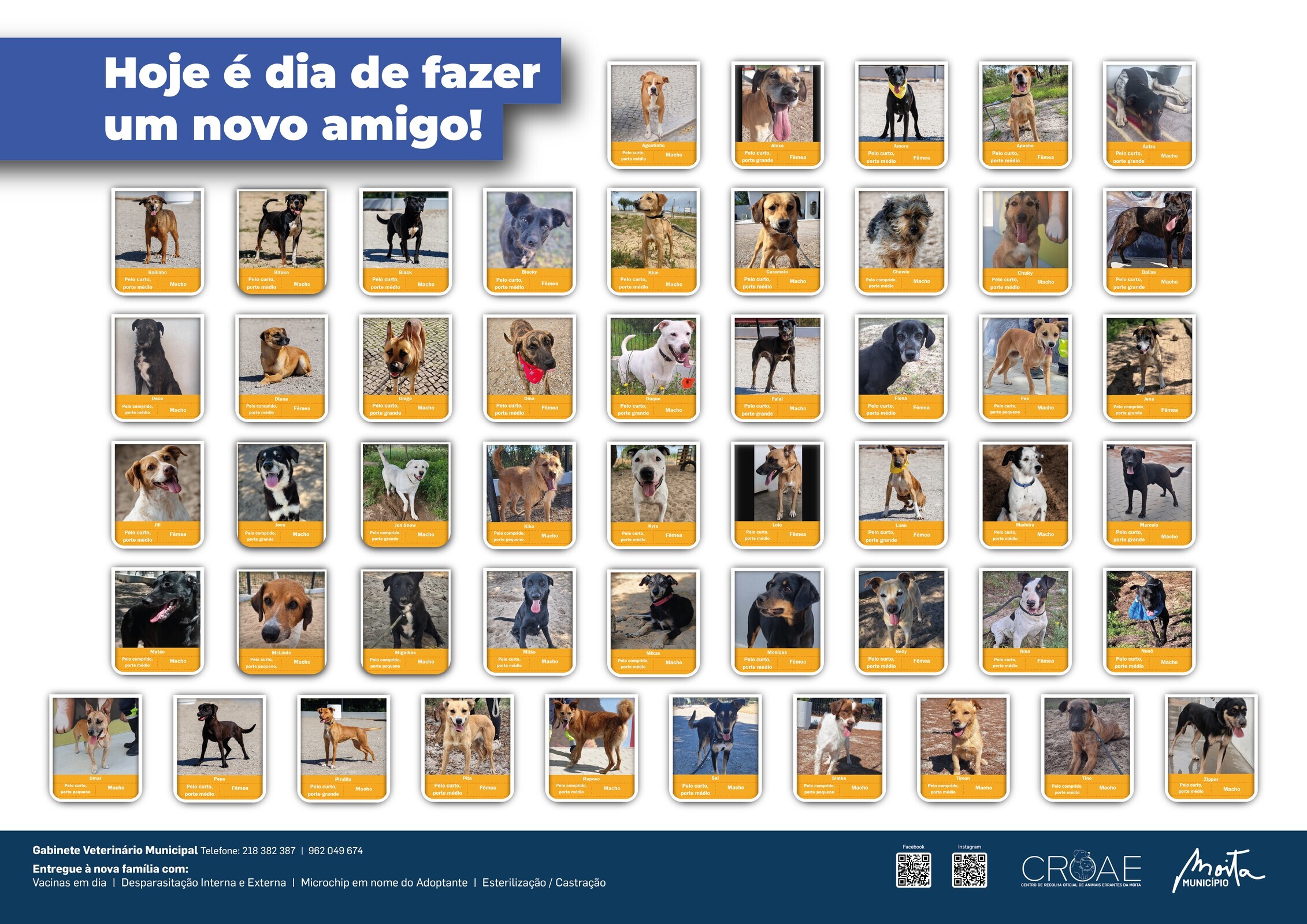 cartaz_patudos CROAE_Janeiro 2026