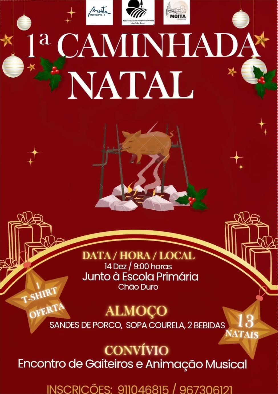 593366483_1421211793041784_5502913577838687847_n