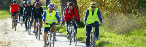 Passeio de Bicicleta